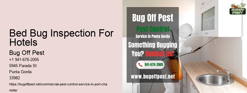 Bed Bug Inspection For Hotels