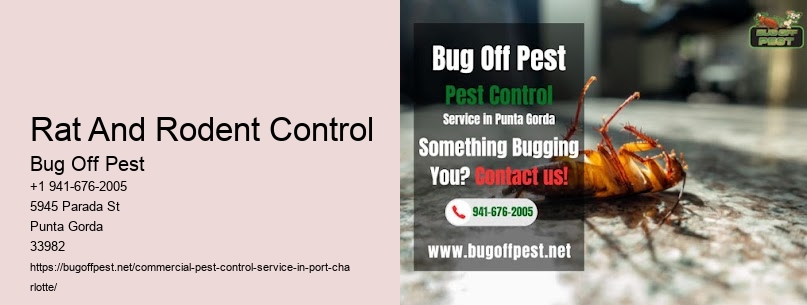 Rat And Rodent Control