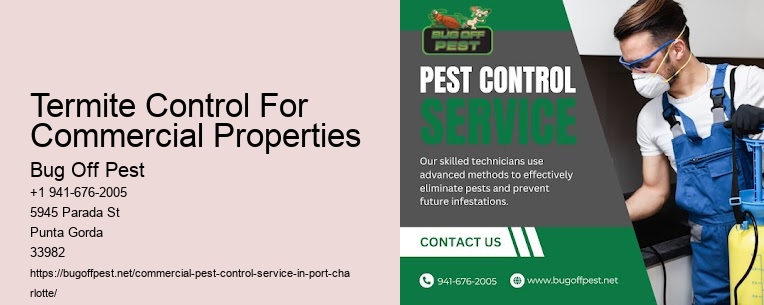 Termite Control For Commercial Properties