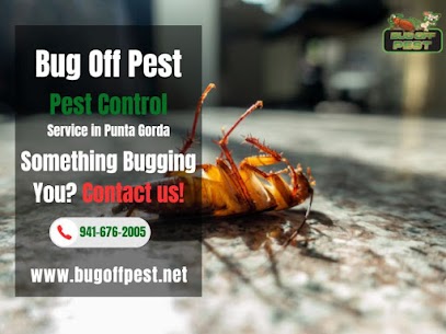 Affordable Rodent Control in Florida
