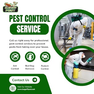 Emergency Bug Services for Offices in North Port
