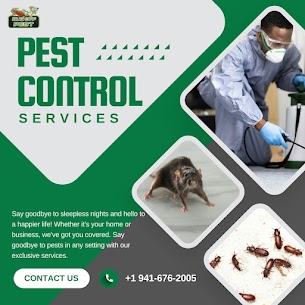 Carpenter Ant Control in North Port