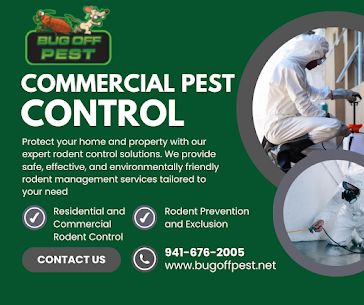 Affordable Bed Bug Control for Families in Florida