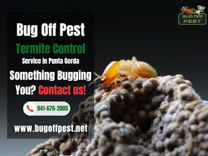 Termite Inspection in Englewood