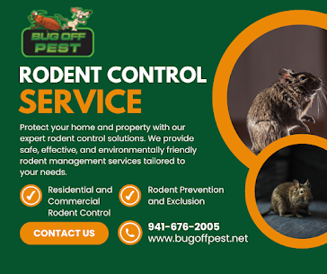 Customized Termite-Free Coverage in North Port