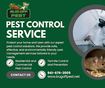 Customized Termite Coverage for Houses in North Port