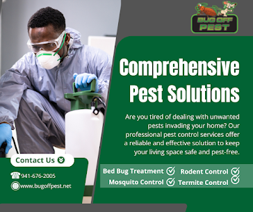 Eco-Friendly Termite-Free Services in Bed Bug Heat Treatments in Charlotte County