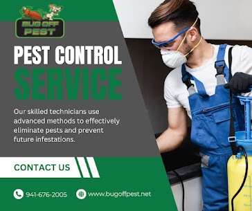 Trusted Pest-Free Experts in Punta Gorda
