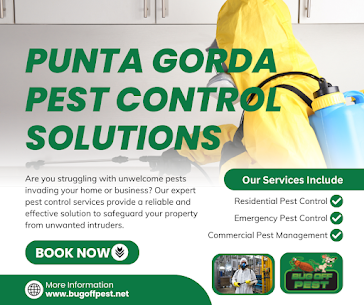 Customized Pest Programs in Non-Toxic Termite Treatments in Florida