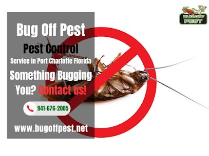 Rapid Ant Extermination in North Port