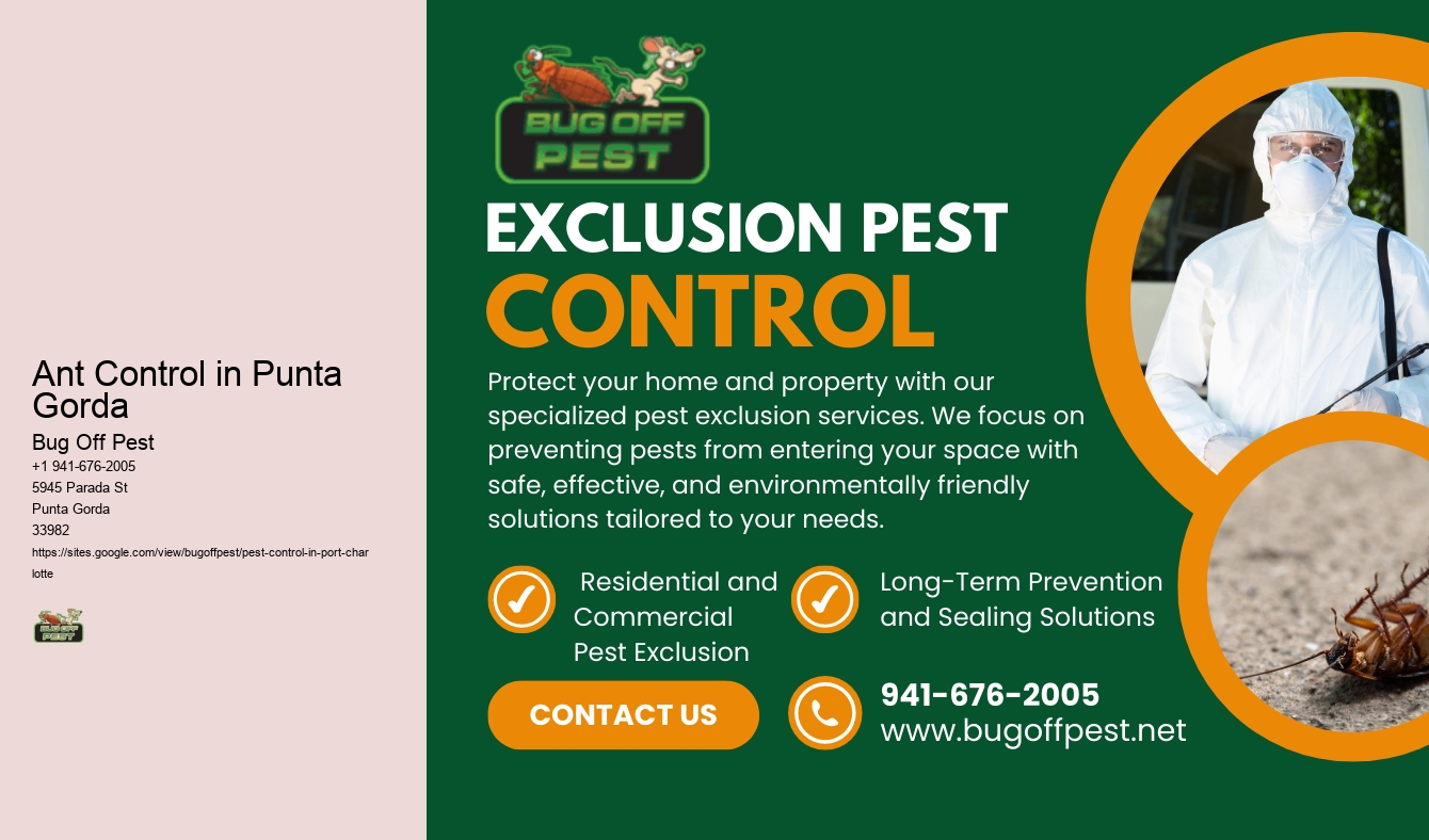 Ant Control in Punta Gorda