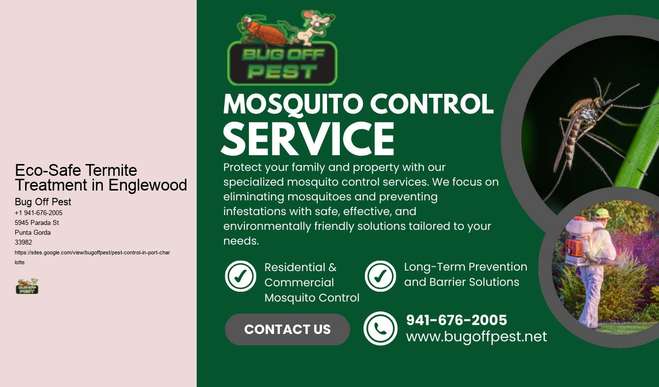 Eco-Safe Termite Treatment in Englewood